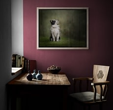 Cozy-room-cat-wall-art cozy room cat wall art