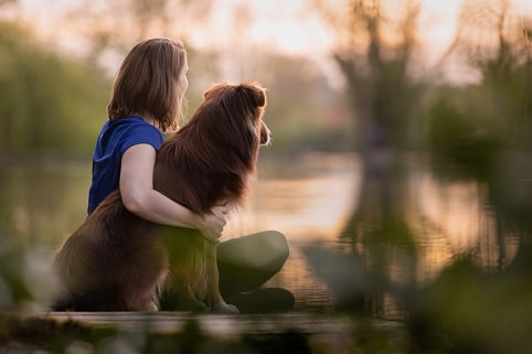 Woman-dog-sunset-luxury-pet-photography-san-diego Woman sitting by a reflective lake with her long-haired dog, both gazing at the serene water during golden hour. Dreamy pet photography by Kat De Laet, San Diego.