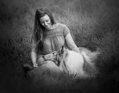 White-and-red-collie-looking-u-p-at-her-owner-dog-photographer-san-diego-end-of-life white and red collie looking u p at her owner dog photographer san diego end of life