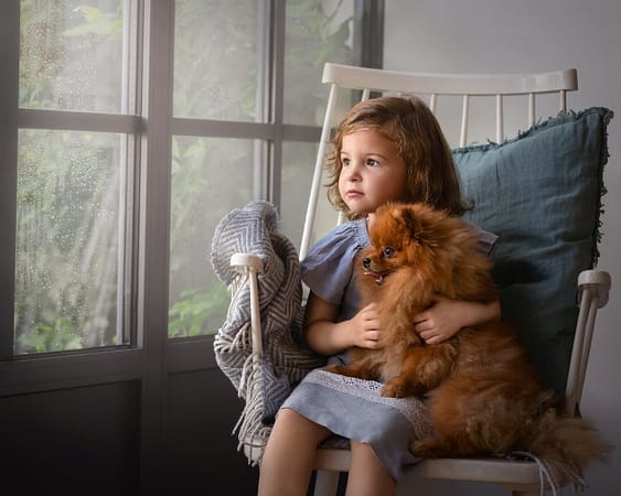 family photo session little girl in rocking chair with red Pomeranian dog