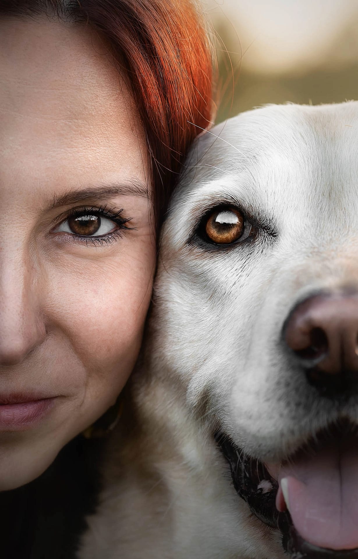 Close-up of a woman and her loyal white dog – emotional pet and owner photography