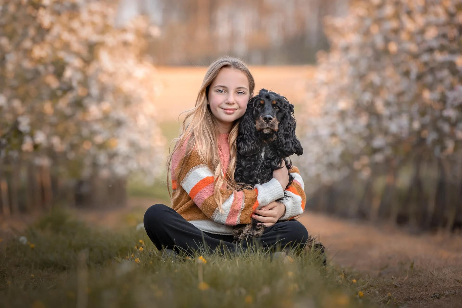 Person holding a black Cocker Spaniel in a blossoming orchard.