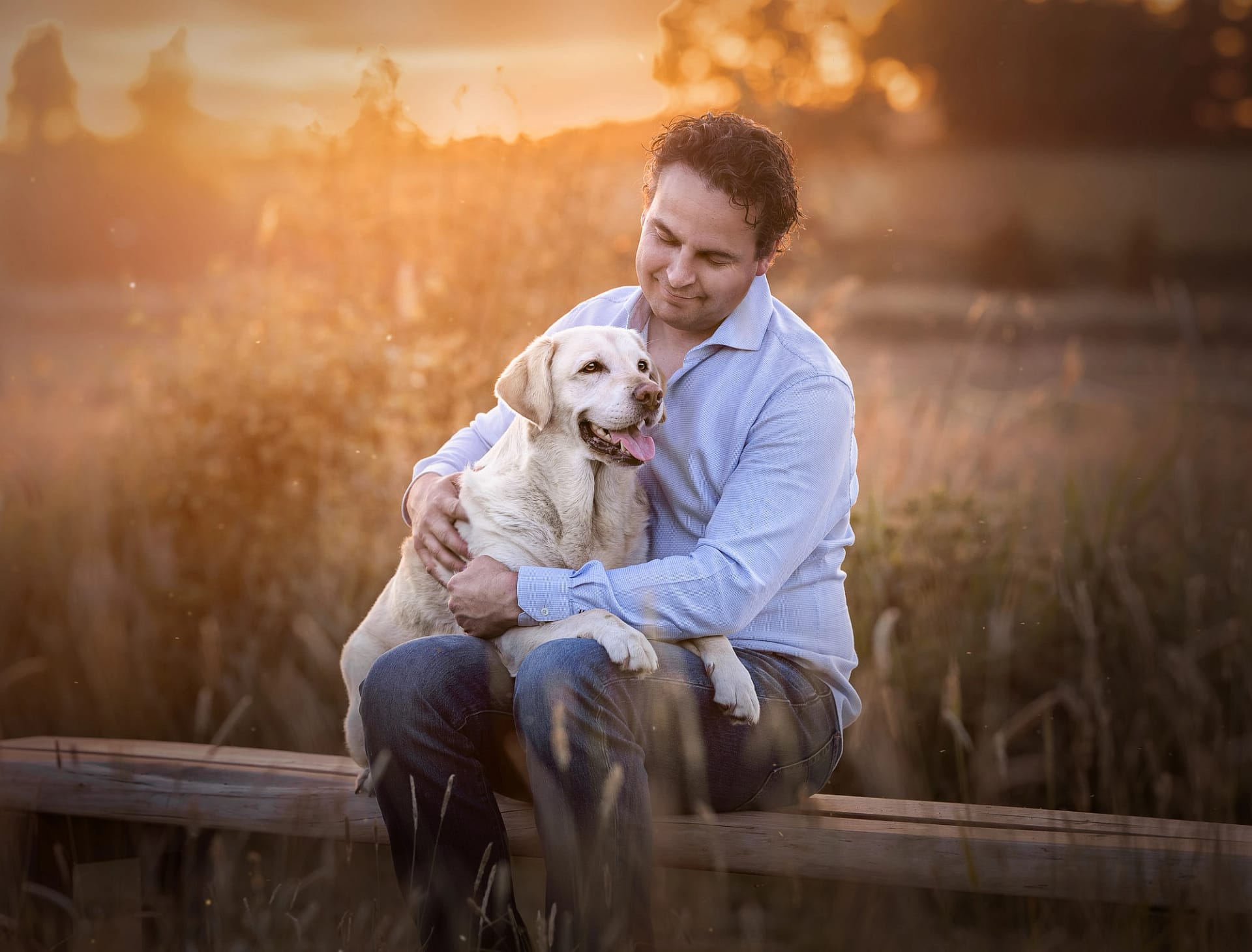 Man sitting on a wooden walkway, lovingly embracing his Labrador Retriever during a golden sunset in a field.