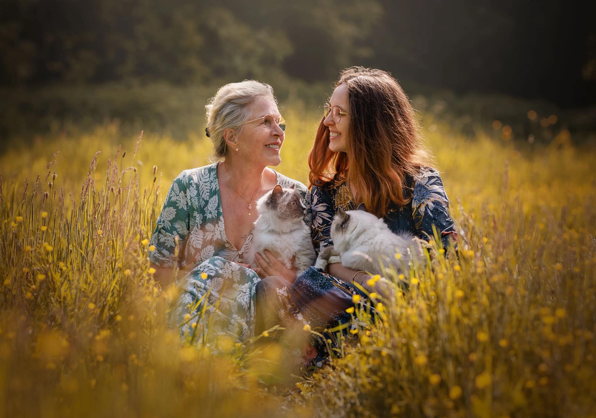 Mother and daughter sitting in a golden flower field, each holding a fluffy Ragdoll cat, sharing a joyful moment. Luxury pet and family photography by Kat De Laet, San Diego.